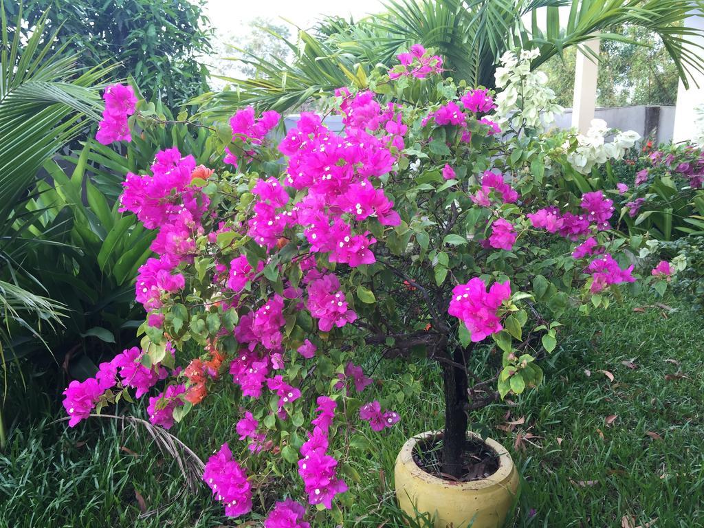 The Moonflower Bungalow Hotel สีหนุวิลล์ ภายนอก รูปภาพ